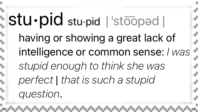 A screenshot of the definition of the word stupid put into a stamp.